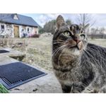 Zdjęcia użytkowników Huawei P50 Pocket Zdjęcia użytkowników Huawei P50 Pocket