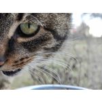 Zdjęcia użytkowników Huawei P50 Pocket Zdjęcia użytkowników Huawei P50 Pocket