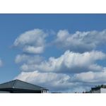Zdjęcia użytkowników Huawei P50 Pro Snapdragon 888