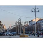 ZDJĘCIA Z TEGO TELEFONU