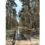 Zdjęcia użytkowników Huawei P60 Pro