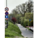 Zdjęcia użytkowników Huawei P60 Pro