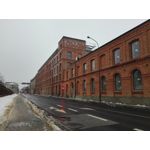 Zdjęcia użytkowników Huawei P8 Lite
