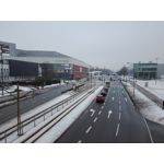 Zdjęcia użytkowników Huawei P8 Lite