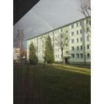 Zdjęcia użytkowników Huawei P8 Lite