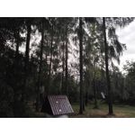 Zdjęcia użytkowników Huawei P8