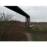 Zdjęcia użytkowników Huawei P9 EVA-L09