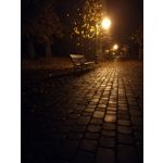 Zdjęcia użytkowników Huawei P9 Lite 2017