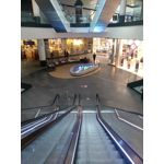 Zdjęcia użytkowników Huawei P9 Lite Mini Dual SIM