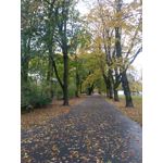 Zdjęcia użytkowników Huawei P9 Lite Mini Dual SIM