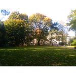 Zdjęcia użytkowników Huawei P9 Lite Mini Dual SIM