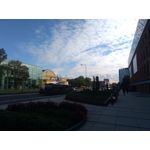 Zdjęcia użytkowników Huawei P9 Lite Mini Dual SIM