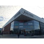 Zdjęcia użytkowników Huawei P9 Lite Mini Dual SIM