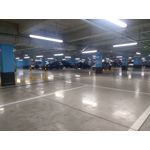 Zdjęcia użytkowników Huawei P9 Lite Mini Dual SIM