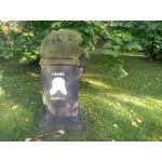 Zdjęcia użytkowników Huawei P9 Lite Mini Dual SIM