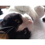 ZDJĘCIA Z TEGO TELEFONU