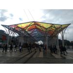 Zdjęcia użytkowników Huawei P9 Lite Mini Dual SIM