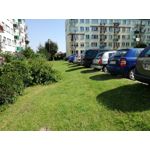 Zdjęcia użytkowników Huawei P9 Lite