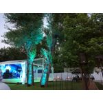 Zdjęcia użytkowników Huawei P9 Lite