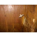 Zdjęcia użytkowników Huawei P9 Lite