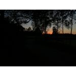 Zdjęcia użytkowników Huawei P9 Lite