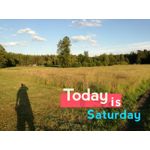 Zdjęcia użytkowników Huawei P9 Lite