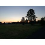 Zdjęcia użytkowników Huawei P9 Lite