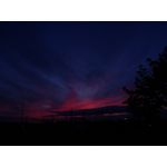 Zdjęcia użytkowników Huawei P9 Lite