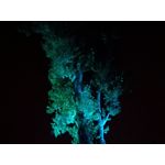 Zdjęcia użytkowników Huawei P9 Lite