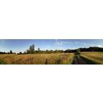 Zdjęcia użytkowników Huawei P9 Lite