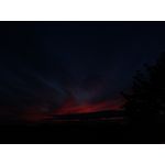 Zdjęcia użytkowników Huawei P9 Lite