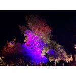 Zdjęcia użytkowników Huawei P9 Lite