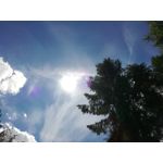 Zdjęcia użytkowników Huawei P9 Lite