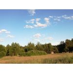 Zdjęcia użytkowników Huawei P9 Lite