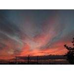 Zdjęcia użytkowników Huawei P9 Lite