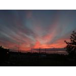 Zdjęcia użytkowników Huawei P9 Lite