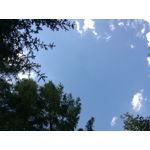 Zdjęcia użytkowników Huawei P9 Lite