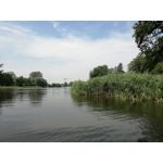 Zdjęcia użytkowników Huawei P9 Lite