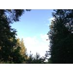 Zdjęcia użytkowników Huawei P9 Lite