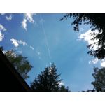 Zdjęcia użytkowników Huawei P9 Lite