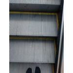 Zdjęcia użytkowników Huawei P9 Lite