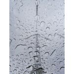 Zdjęcia użytkowników Huawei P9 Lite