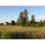 Zdjęcia użytkowników Huawei P9 Lite