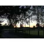 Zdjęcia użytkowników Huawei P9 Lite