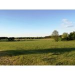 Zdjęcia użytkowników Huawei P9 Lite