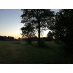 Zdjęcia użytkowników Huawei P9 Lite