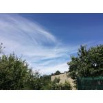 Zdjęcia użytkowników Huawei P9 Lite