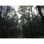 Zdjęcia użytkowników Huawei P9 Lite