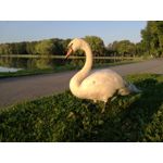 Zdjęcia użytkowników Huawei P9 Lite