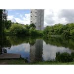 Zdjęcia użytkowników Huawei P9 Lite